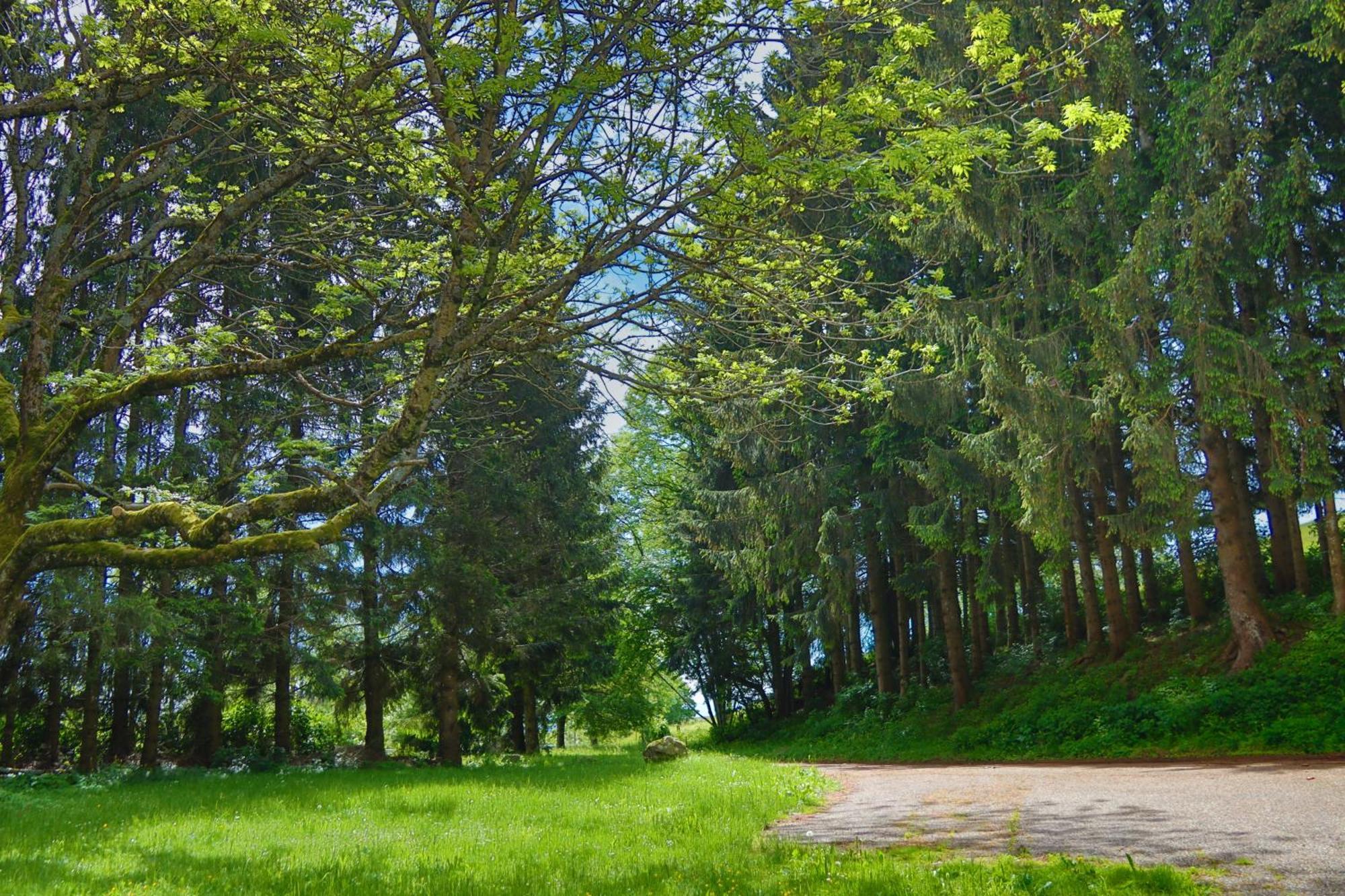 Schwarzwald Escape Vendégház Gorwihl Kültér fotó